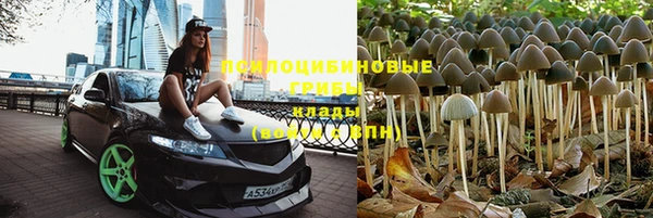 mdpv Армянск