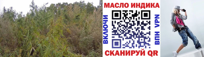мега рабочий сайт  Соликамск  ТГК жижа  как найти наркотики 