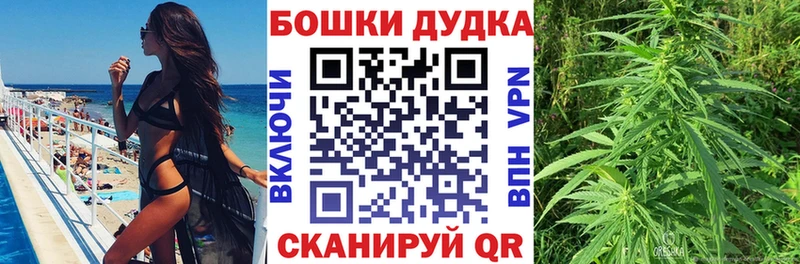 Каннабис OG Kush  Соликамск 